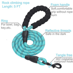 Collar Haapaw nailon resistente para uso diario y entrenamiento.