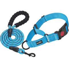 haapaw collar martingale con ajuste rápido para entrenamiento.