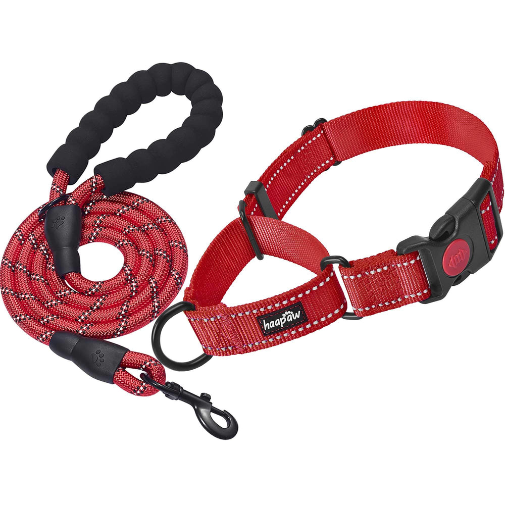 haapaw collar martingale con cierre rápido, ideal para entrenamiento seguro