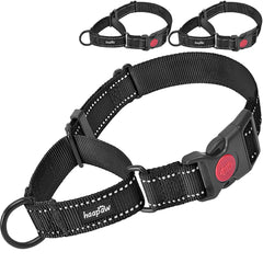 Haapaw collar martingale con hebilla de liberacion rapida para entrenamiento seguro