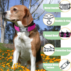 HAESINPA collar de entrenamiento con púas ajuste por enlaces para tamaños