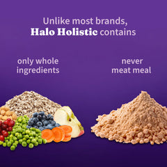 Halo Holistico mezcla prebionticos, probioticos y postbioticos para digestion.