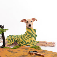 Suéter Haloumoning para perro, elástico bajo la barriga, fácil de colocar.