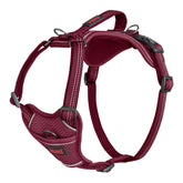 Arnés Halti Anatomy para perros con asa, cómodo y ligero para paseos diarios.