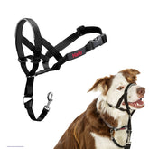 HALTI collar de cabeza con ajuste ligero en negro para mayor comodidad y control suave.