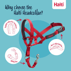 Halti Headcollar ligero de nylon para comodidad durante paseos