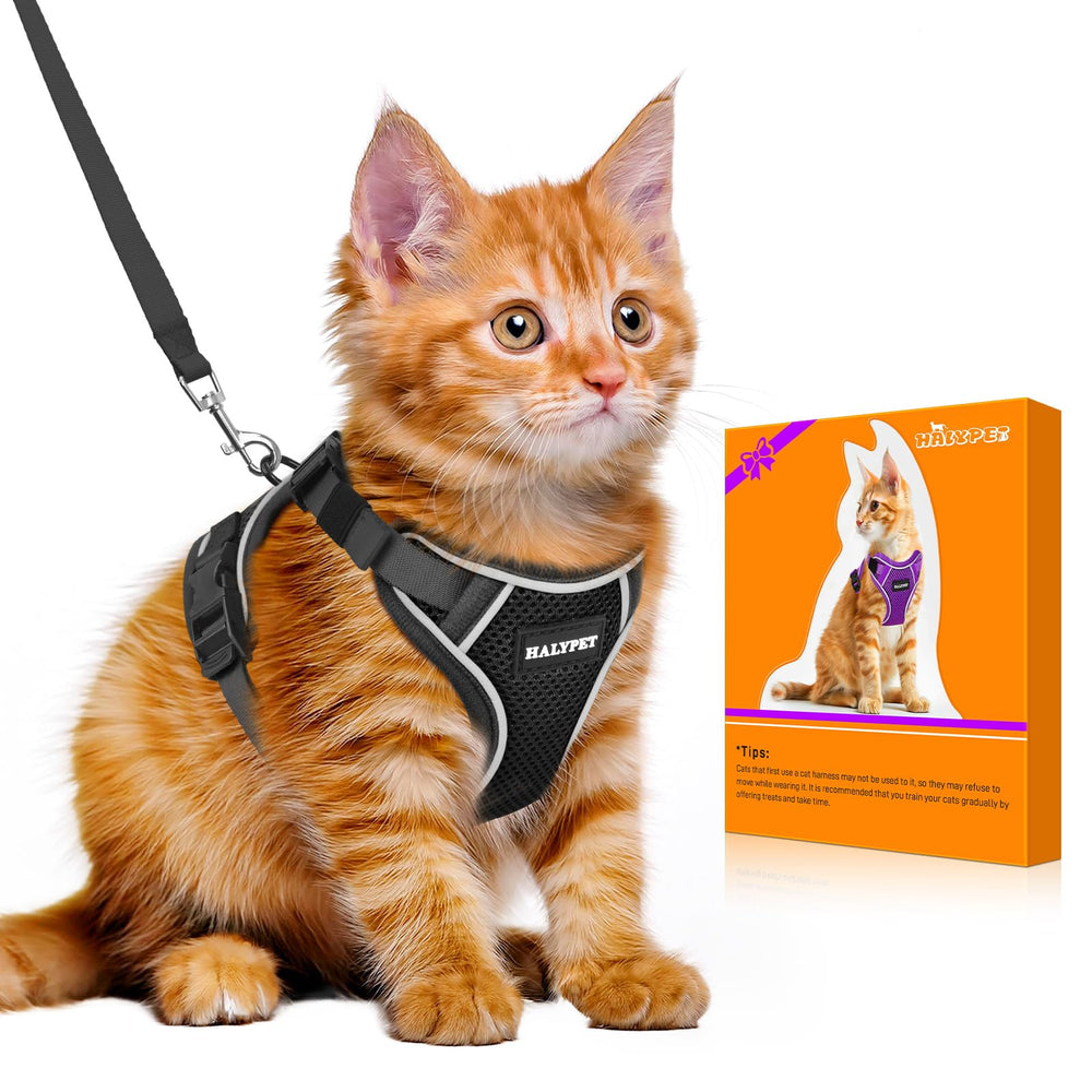 Halypet arnés para gato a prueba de escape para paseo al aire libre