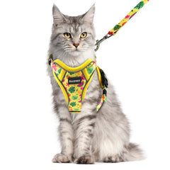 Arnés Halypet para gato con malla transpirable, cómodo en paseos.