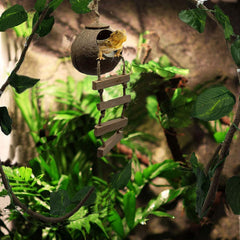 Hamiledyi Gecko Coco Den detalle coco natural, superficie rugosa para trepar.