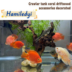Hamiledyi madera flotante hábitat-terario, decoración resistente para terrarios y reptiles.