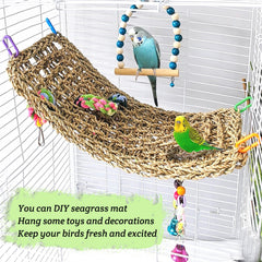 Hamiledyi zona de forrajeo para aves: elementos interactivos y snacks.