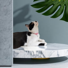 HAMUSN collar gato con campana brillante, ideal para localizar a tu mascota