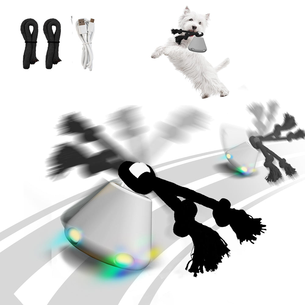 Hanarook bola rodante para perros en acción, fomenta movimiento y juego activo