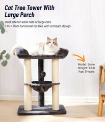 Happi N Pets cama amplia para gatos grandes, descanso cómodo y vista cercana