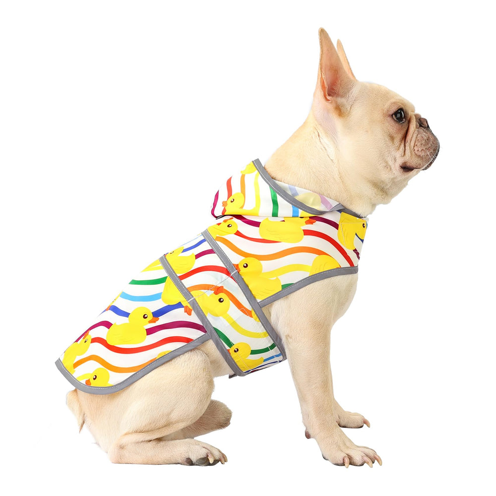 Chaqueta impermeable Happiere para perros con capucha, mayor visibilidad.