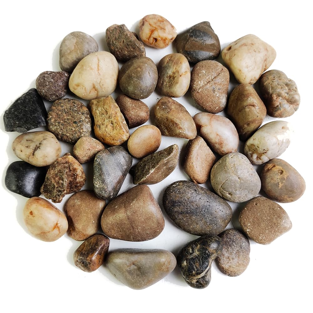 Piedras pulidas HappyFiller para acuario, realzan el aspecto del acuario