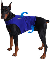 Harbyel chaleco de ansiedad para perros mostrando la aplicación para calma rápida.