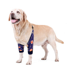 Harikaji protector codo perro con malla acolchada para comodidad diaria.