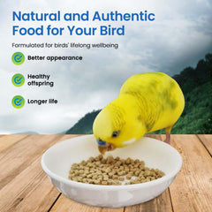 Harrison's Bird Foods fórmula orgánica certificada para aves pequeñas.