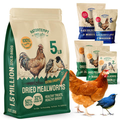 Hatortempt gusanos secos para aves: snack proteico para aves silvestres al aire libre.