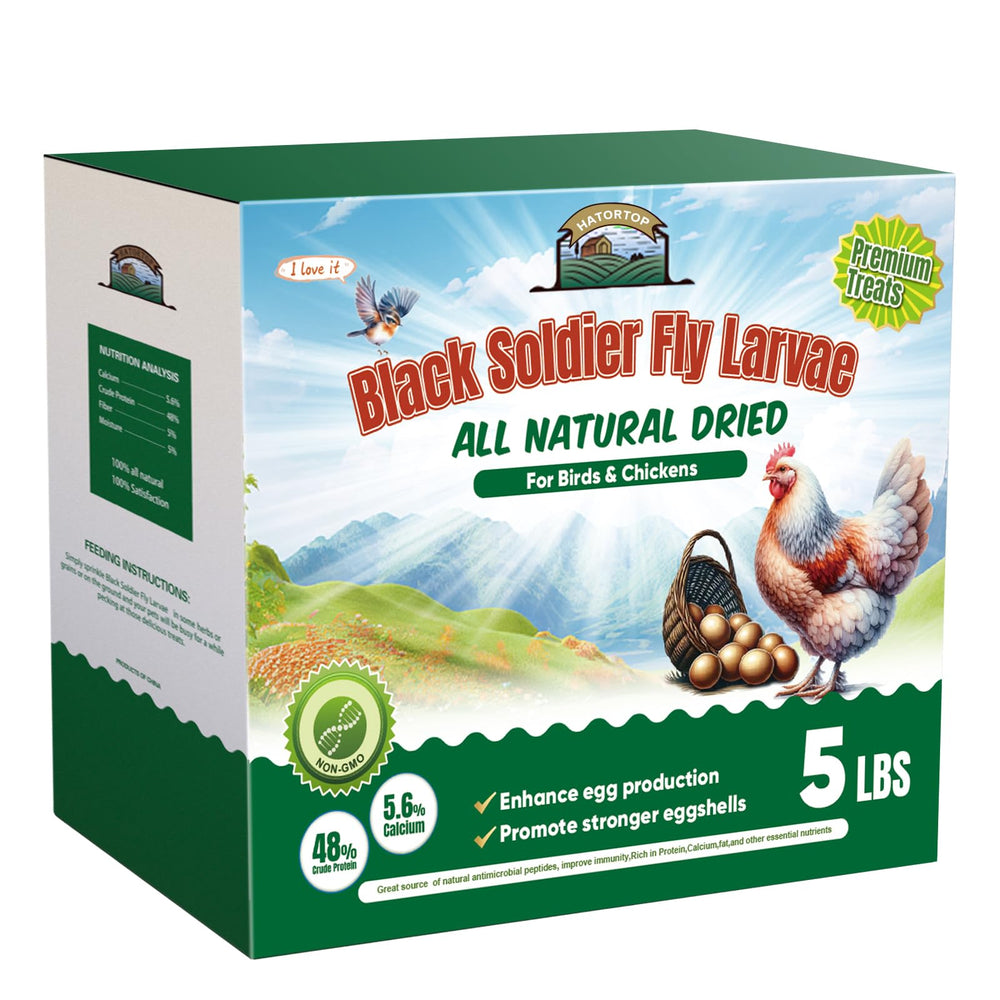 Hatortop BSF larvas 5lb, empaque frontal, alimento rico en calcio para gallinas ponedoras.
