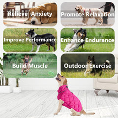 HCHYEY chaleco peso para perros, anilla D para correa y accesorios.