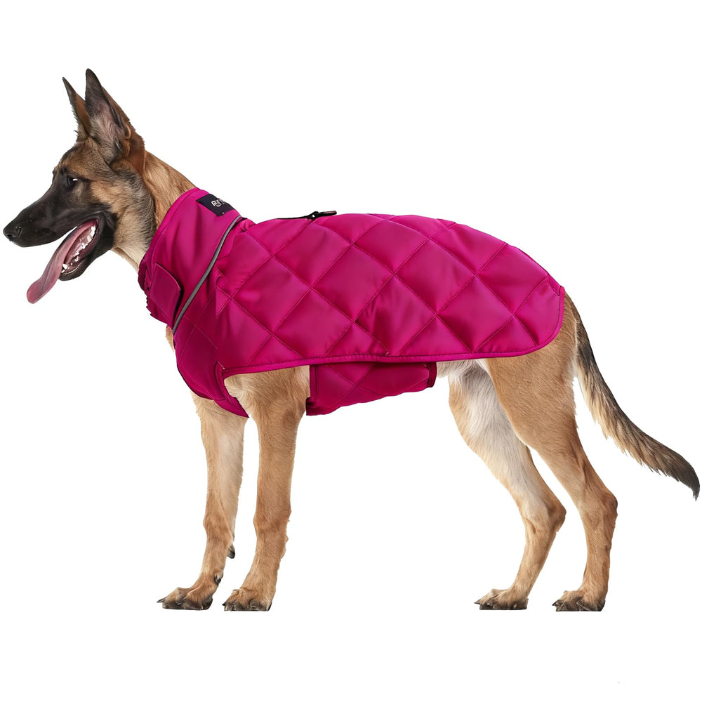 HCHYEY chaleco peso para perros, vista frontal, mejora la seguridad y la estabilidad durante el entrenamiento.