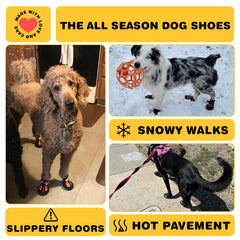 Hcpet zapato naranja talla 7, diseño elástico, cómodo para interiores y exteriores.