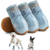 Zapatillas Hcpet azul tamaño 4 para perros, ideales para paseos diarios.