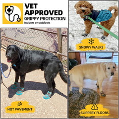 Hcpet zapatillas para perro grande, suela antideslizante en primer plano