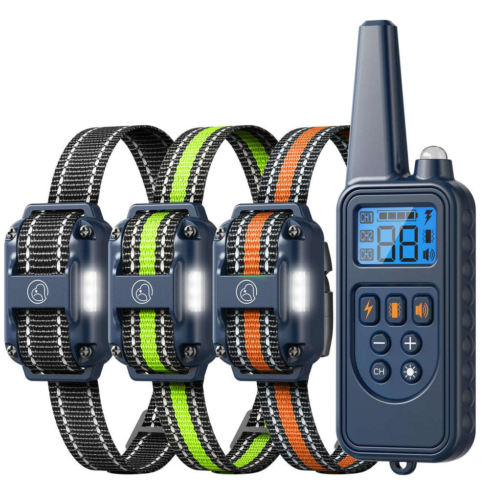 Heaflex collar de adiestramiento con control remoto durante entrenamiento al aire libre.