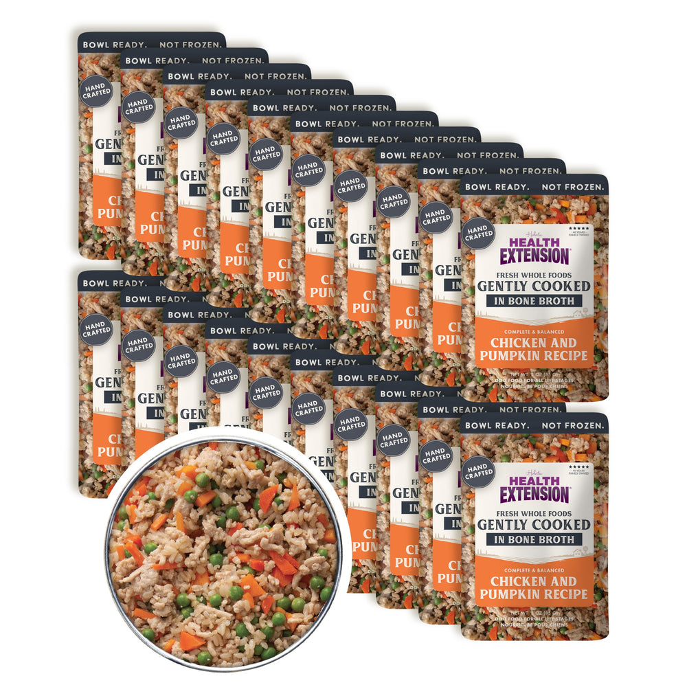 Health Extension comida lista en tazón: pollo y calabaza, ideal para perros quisquillosos
