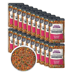 Health Extension Salmon Dog Food en plato-listo para comer rápido