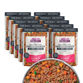 Health Extension Salmon: plato listo para perro, sabor hogareño y práctico.
