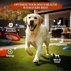 Healthy Dogma PetMix Deshidratado con leche de cabra: apoyo digestivo suave