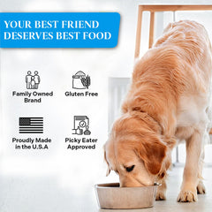 Healthy Dogma PetMix Fish Dinner con superalimentos para inmunidad y digestión.