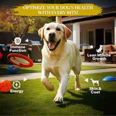Healthy Dogma PetMix mezcla con agua tibia, lista para servir en minutos.