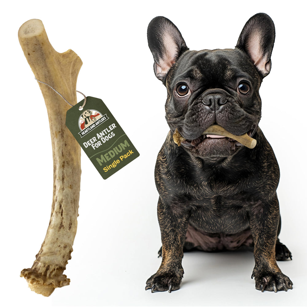 Heartland Antlers: cuerno natural para cuidado dental diario y reducción de placa.
