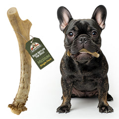 Heartland Antlers: cuerno natural para cuidado dental diario y reducción de placa.