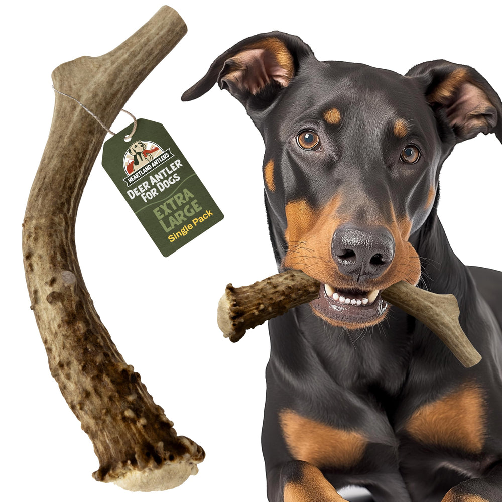 Heartland Antlers para dientes de perro, ayuda a reducir la placa.