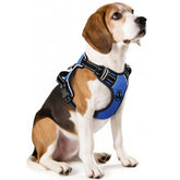 Arnés HEELE para perros, ajuste rápido para paseo cómodo y seguro.