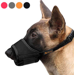 Bozal HEELE para perro ajuste cuello, sujeción segura.