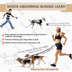 Cinturón ajustable Heellpxi para perros, estabilidad y comodidad en paseos prolongados.