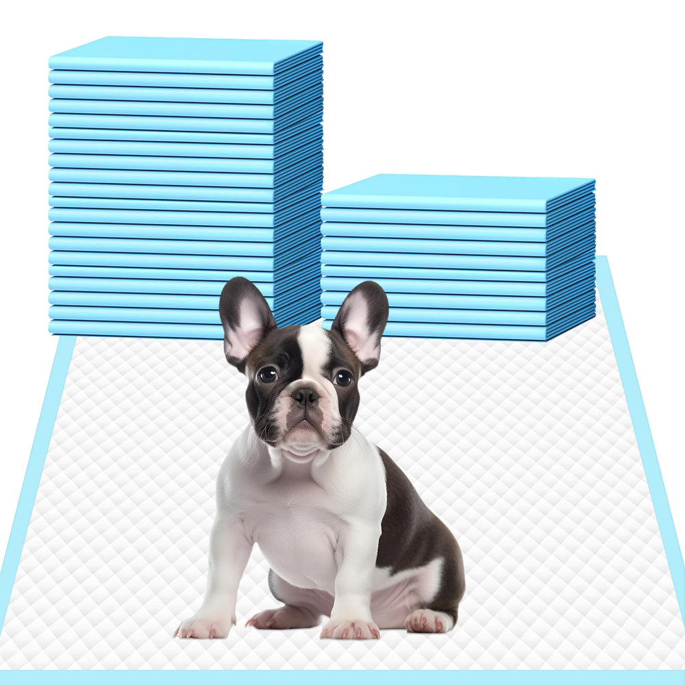Pañales HEPPYPLUS para perros con diseño multi-capa que absorben rápido.