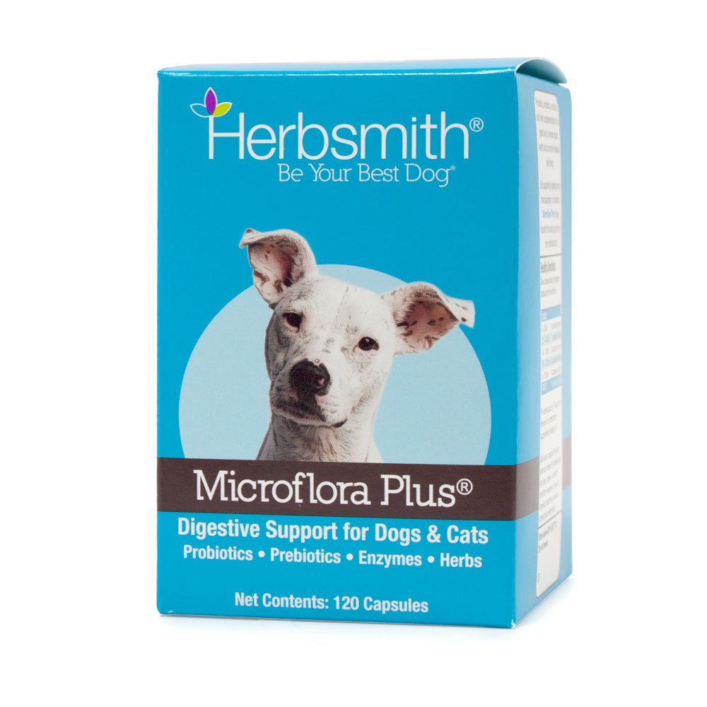 Bote de Herbsmith Microflora Plus con cápsulas para la digestión canina
