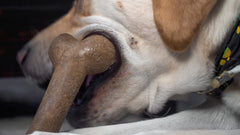 Hero Bonetics hueso para perros grandes, aroma a madera para estimulación sensorial.