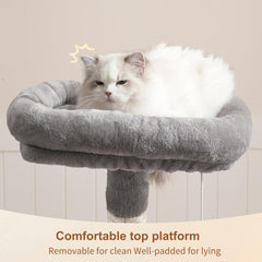 Heybly arbol para gatos con base estable y sistema antivuelco para mayor seguridad