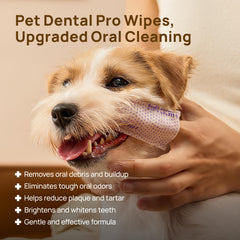 HICC PET: uso en dedo para cepillado dental de perro, ajuste cómodo