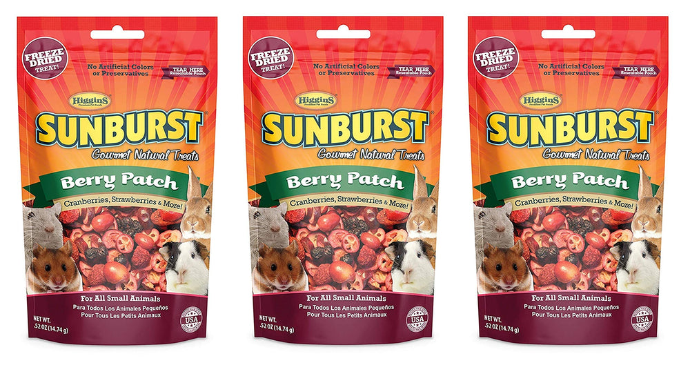 Higgins Sunburst Berry Patch: bayas deshidratadas para roedores, snack nutritivo.