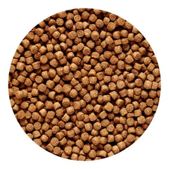 Primer plano de pellets Hikari para cíclidos dorados, nutrición equilibrada.
